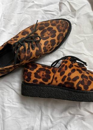 Клевые леопардовые туфли asos размер 38 = 24 см3 фото