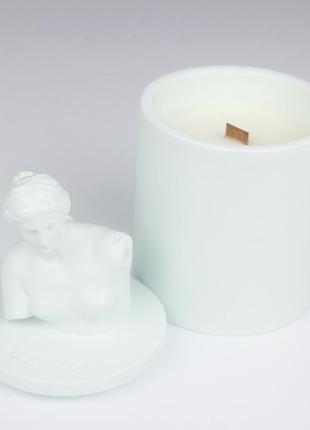 Аромасвічка venus cherry blossom mint 100% wood wax 165g 35h гранд презент nac 1104