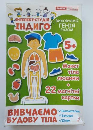 Строение тела игра на магнитах