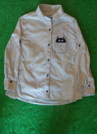 Шикарна жіноча сорочка minimoda.