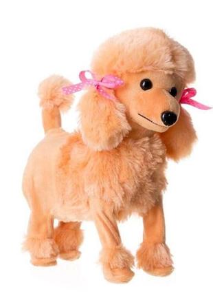 Мягкая игрушка собака реалистичный пудель 31 х 28 см.2 фото
