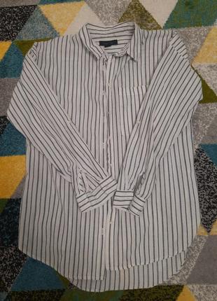 Сорочка в смужку, полоску, блуза в полоску натуральна на довгий рукав