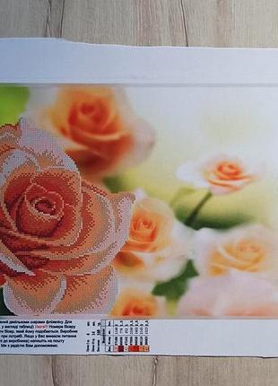 Схема для вишивки бісером "троянда"