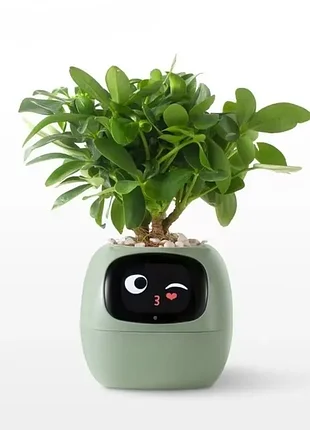 Розумний квітковий горщик для рослин ivy smart planter tuya