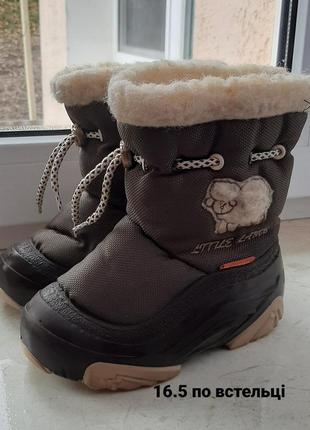 Демары, демарики. зимние сапожки