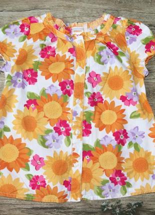 Блуза, сорочка gymboree у соняшники