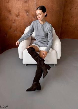 Ботфорты замшевые шоколадные