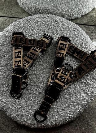 Стильная шлейка для собак fendi