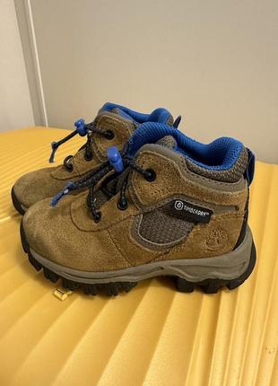 Черевики timberland