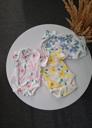 Набір бодіків