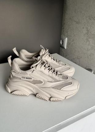 Кроссовки оригинал steve madden