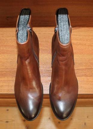 40 ecco shape оригінальні шкіряні ботильйони
