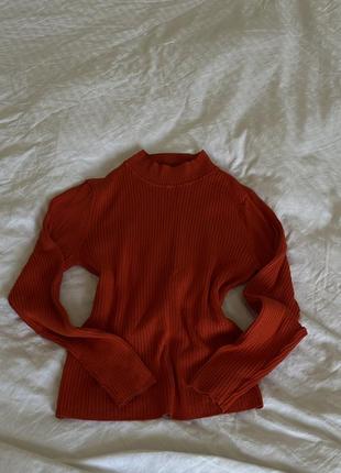 Базовий гольф/водолазка