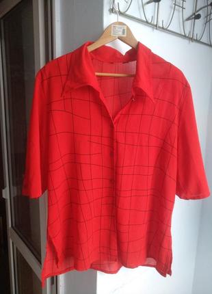 Блуза туника красный мак 56