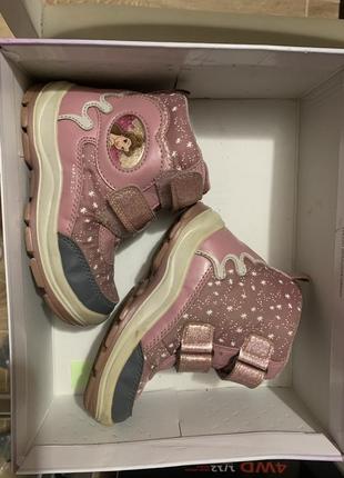 Сапожки, сапожки geox