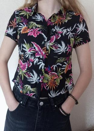 Гавайська сорочка блуза