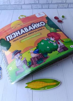 Уборщико "моя первая липучья книжечка"