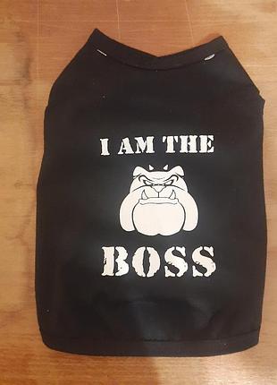 Сорочка для собаки.