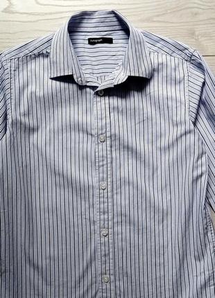 Дешево! рубашка autograph m&s / школа
