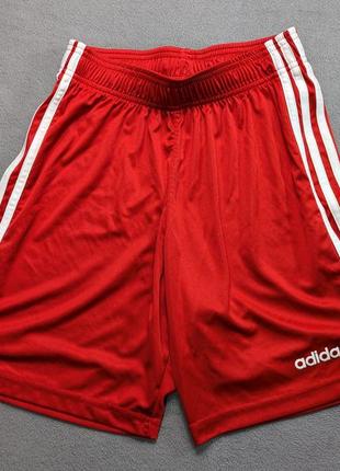 Чоловічі спортивні шорти adidas червоні розмір s