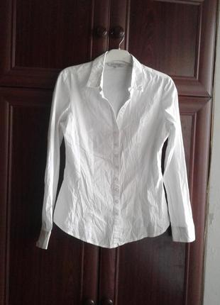 Белоснежная хлопковая школьная стрейчевая рубашка ,блузка clockhouse