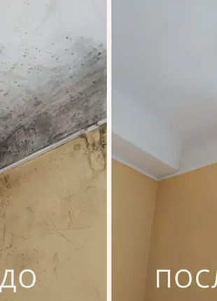 Спрей против плесени и грибка для ванной на обоях, стенах, потолка gold anti plesna 500 мл