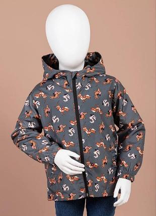 Ветровка для мальчиков, куртка