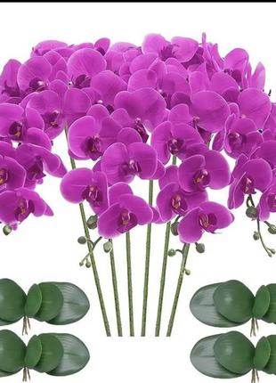 Орхидея латексная1 фото