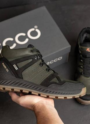 Чоловічі зимові шкіряні черевики ecco