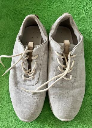 Кросівки toms