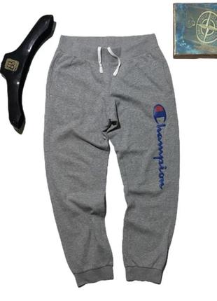 Спортивные штаны champion на флисе теплые big logo рм