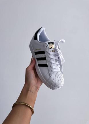 Кросівки жіночі шкіряні superstar classic white black, кеди чорно-білі, 38-40