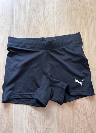 Спортивні шорти Low puma