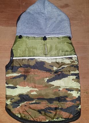 Жилет для собаки.