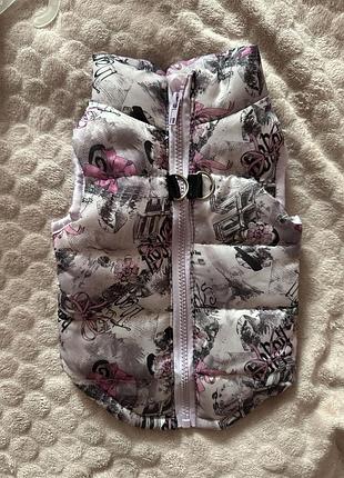 Куртка для собаки м, дощовик для собаки с, ошийник м