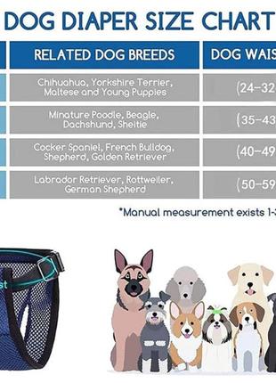 Труси гігієнічні для собак m (з ватними прокладками)3 фото