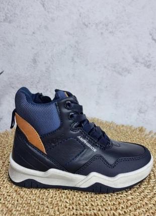 Черн демісезонні