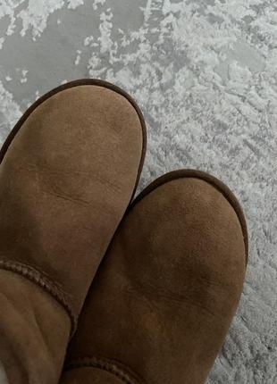 Ugg 5