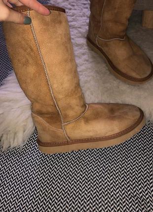 Ugg оригинал высокие натуральные сапоги кожаные овчина оригинал натуральное высокие сапоги овчина6 фото