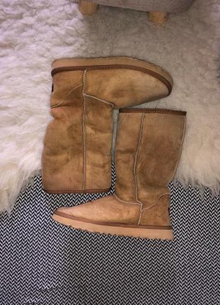 Ugg оригинал высокие натуральные сапоги кожаные овчина оригинал натуральное высокие сапоги овчина3 фото