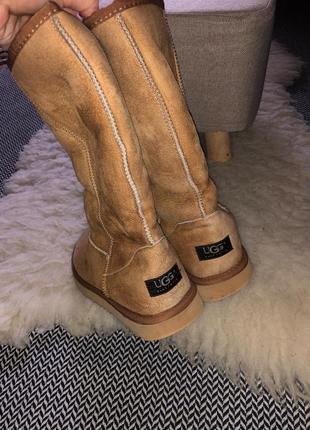 Ugg оригинал высокие натуральные сапоги кожаные овчина оригинал натуральное высокие сапоги овчина4 фото