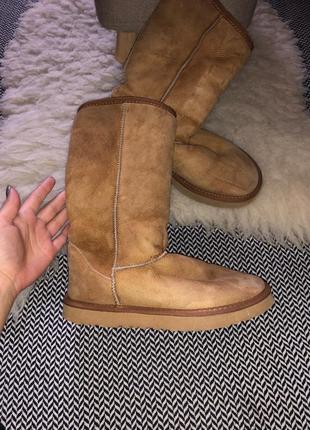 Ugg оригинал высокие натуральные сапоги кожаные овчина оригинал натуральное высокие сапоги овчина