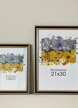 Фоторамка коричнева з золотом 30х40 з склом (пластиковий багет)