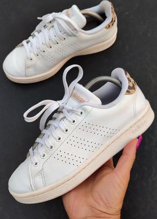Adidas женские кроссовки