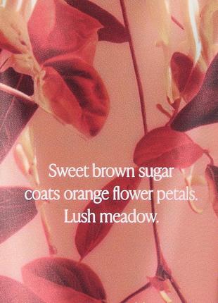 Набор для тела rich honeysuckle apricot victoria's secret