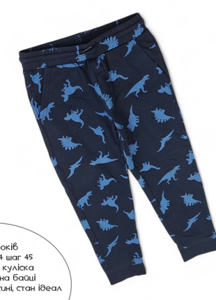 Штаны с динозаврами