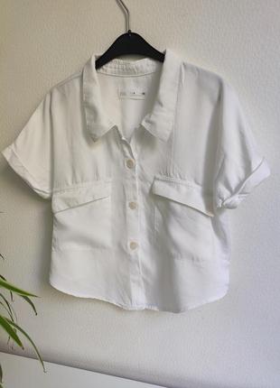Кофта блуза сорочка zara1 фото