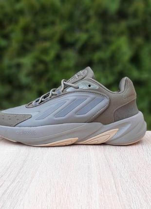 Adidas ozelia хакі  ods10952