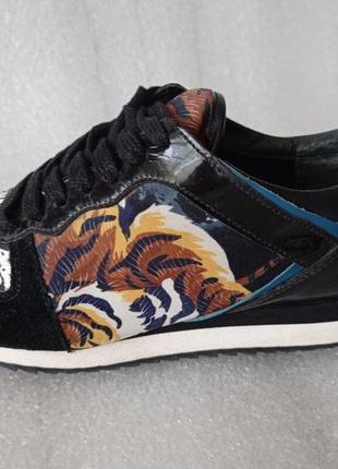 Брендові кросівки kenzo з тигровим принтом устілка 24 см.