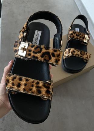 Женские кожаные босоножки steve madden3 фото